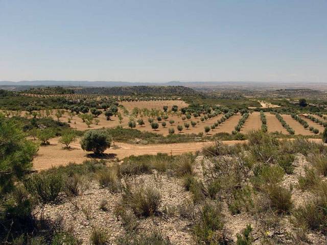 Finca rústica en Venta en Alcañiz