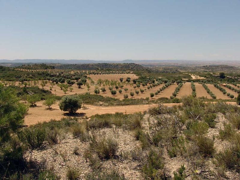Country house zum verkauf in Alcañiz