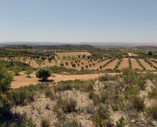 Finca rústica en venda en Alcañiz