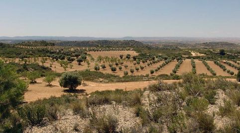 Alcañiz – Finca de caza de 805 Hectáreas