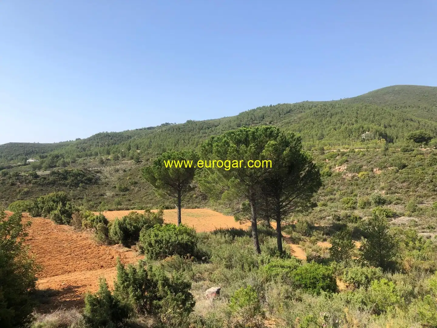 Country homes for sale in Chiva