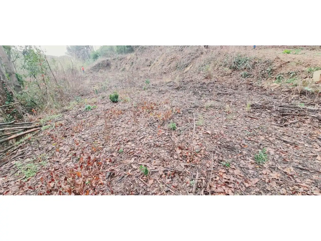 Rural land for sale in Lliçà d'Amunt, imagen 105