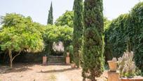 Garden of Flat to rent in Girona Capital  with Air Conditioner, Heating and Terrace