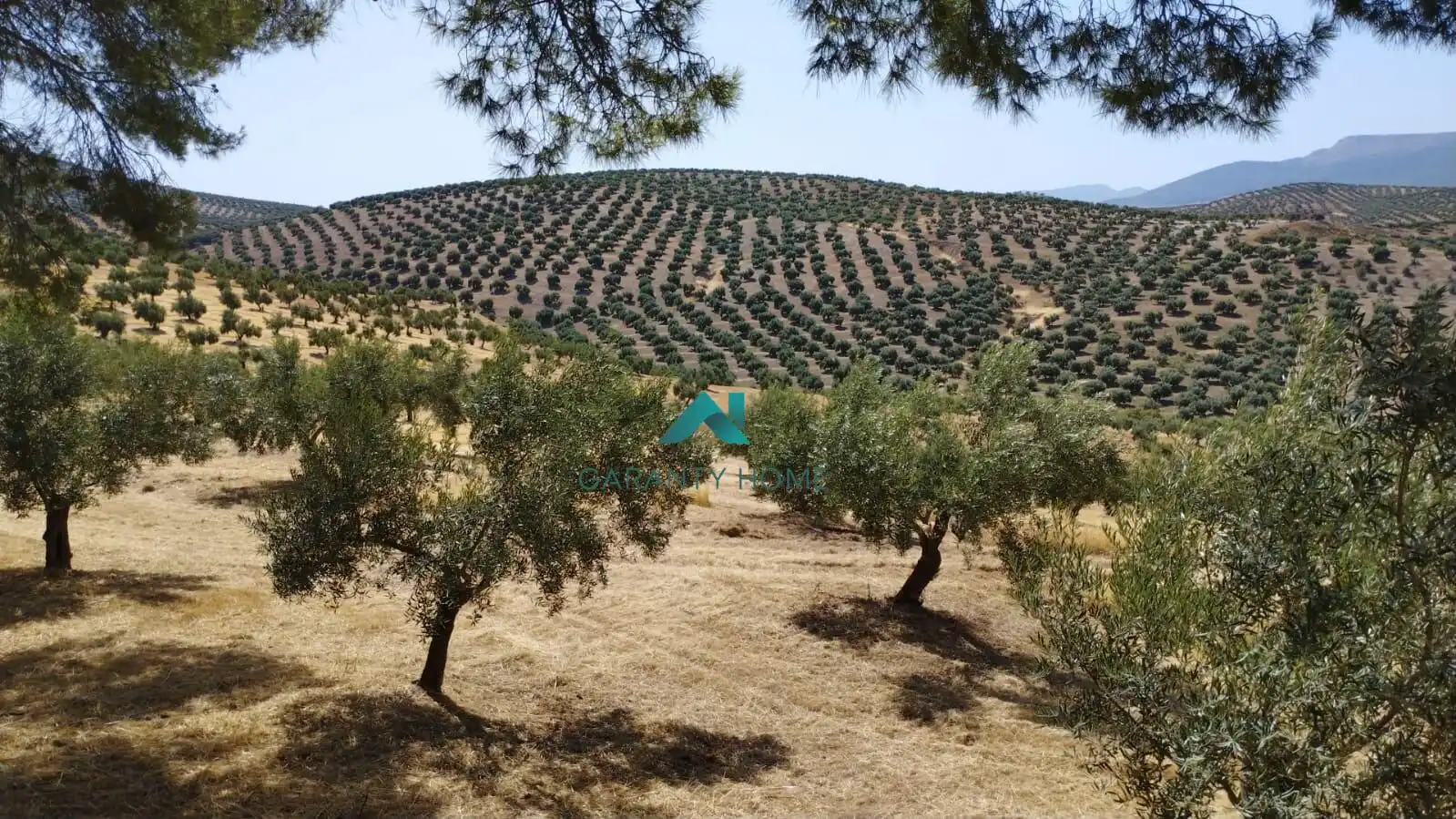 Terreni e lotti in vendita a Torredelcampo, imagen 3
