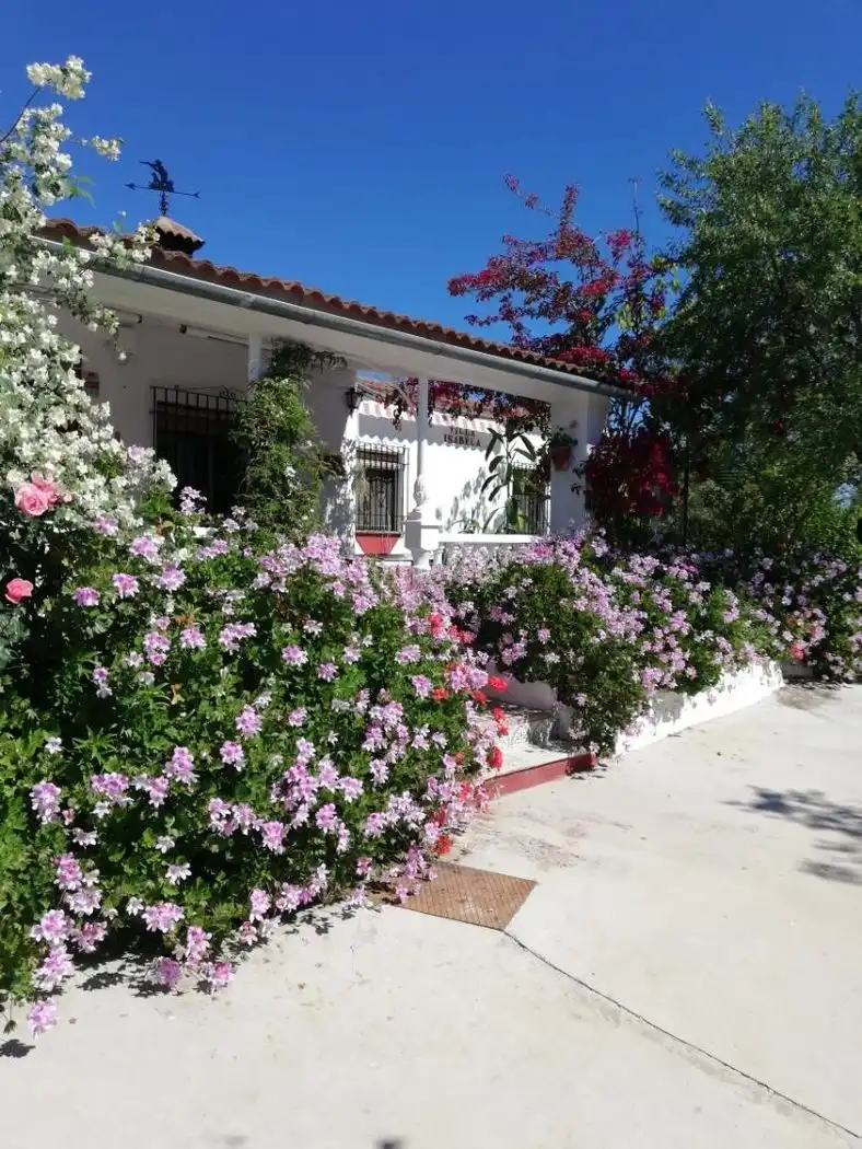Haus mit Garten zum Verkauf in Calle el Santo 13, imagen 2
