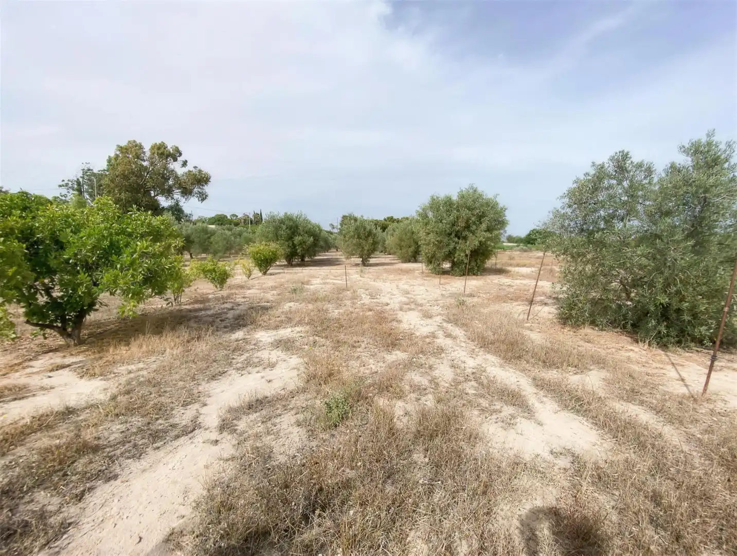 Villa à vendre à Partida Campet, imagen 26