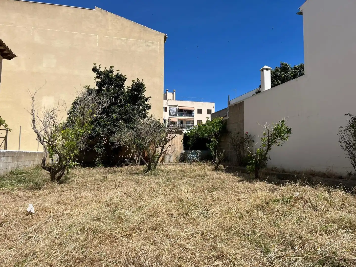 Terrenys i solars en venda a Artà Poble, imagen 14