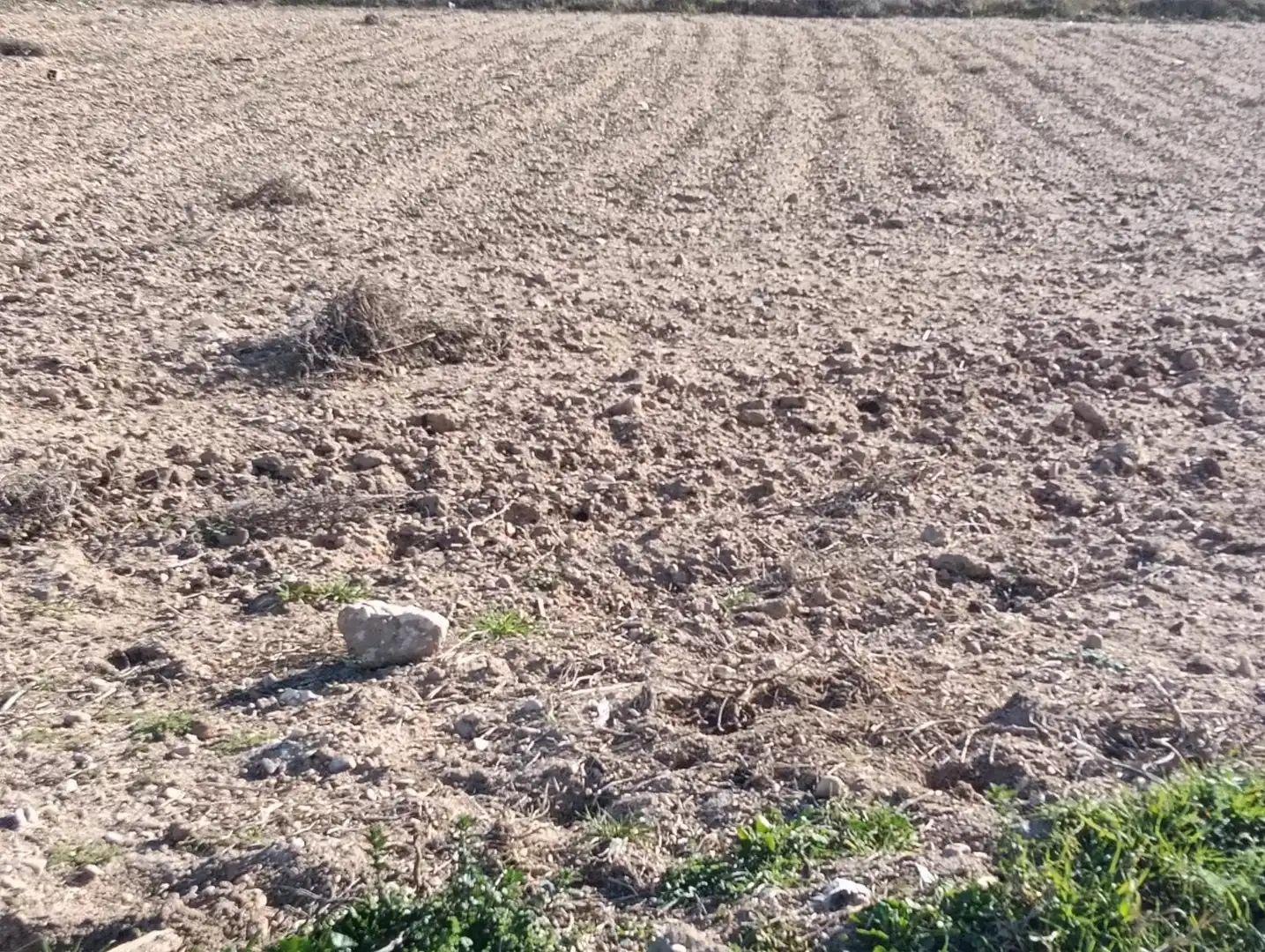 Terrenos y solares en venta en Villacañas, imagen 2