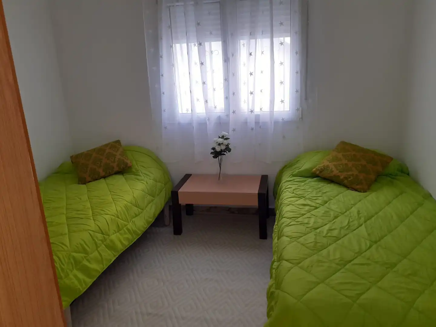 Appartement compact avec jardin à vendre à Avenida Dinamarca, imagen 12