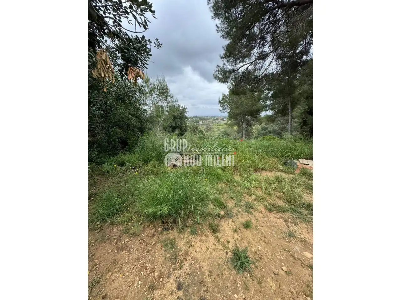 Finca rústica en venda en Montserrat amb Jardí privat