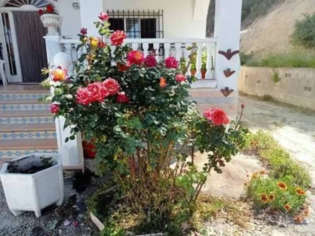 Garden of Houses for sale in Alcoy / Alcoi  with Terrace
