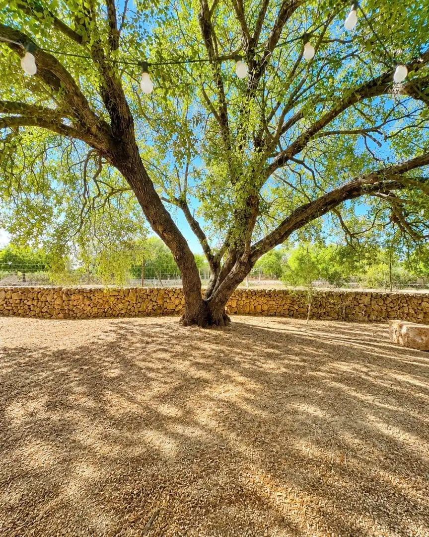 Jardí de Casa o xalet de lloguer en Algaida amb Aire condicionat i Jardí privat