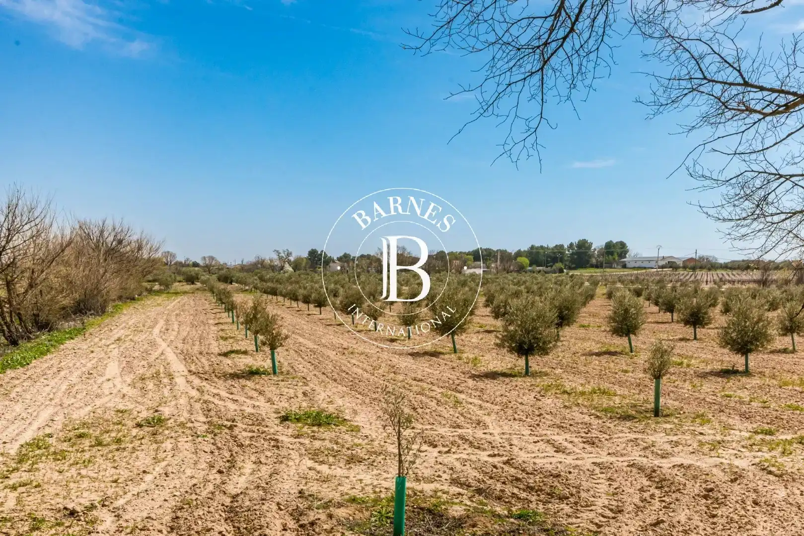 Casa o chalet en venta en Alcázar de San Juan con Jardín privado, Piscina y Amueblado