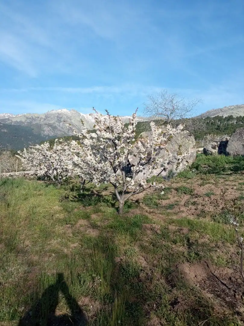 Garten von Residential zum Verkauf in El Hornillo 