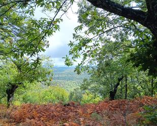 Land for sale in Castaño del Robledo