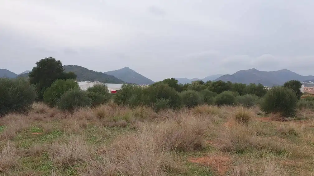Terreny residencial en venda a Partida Fosaret, imagen 24