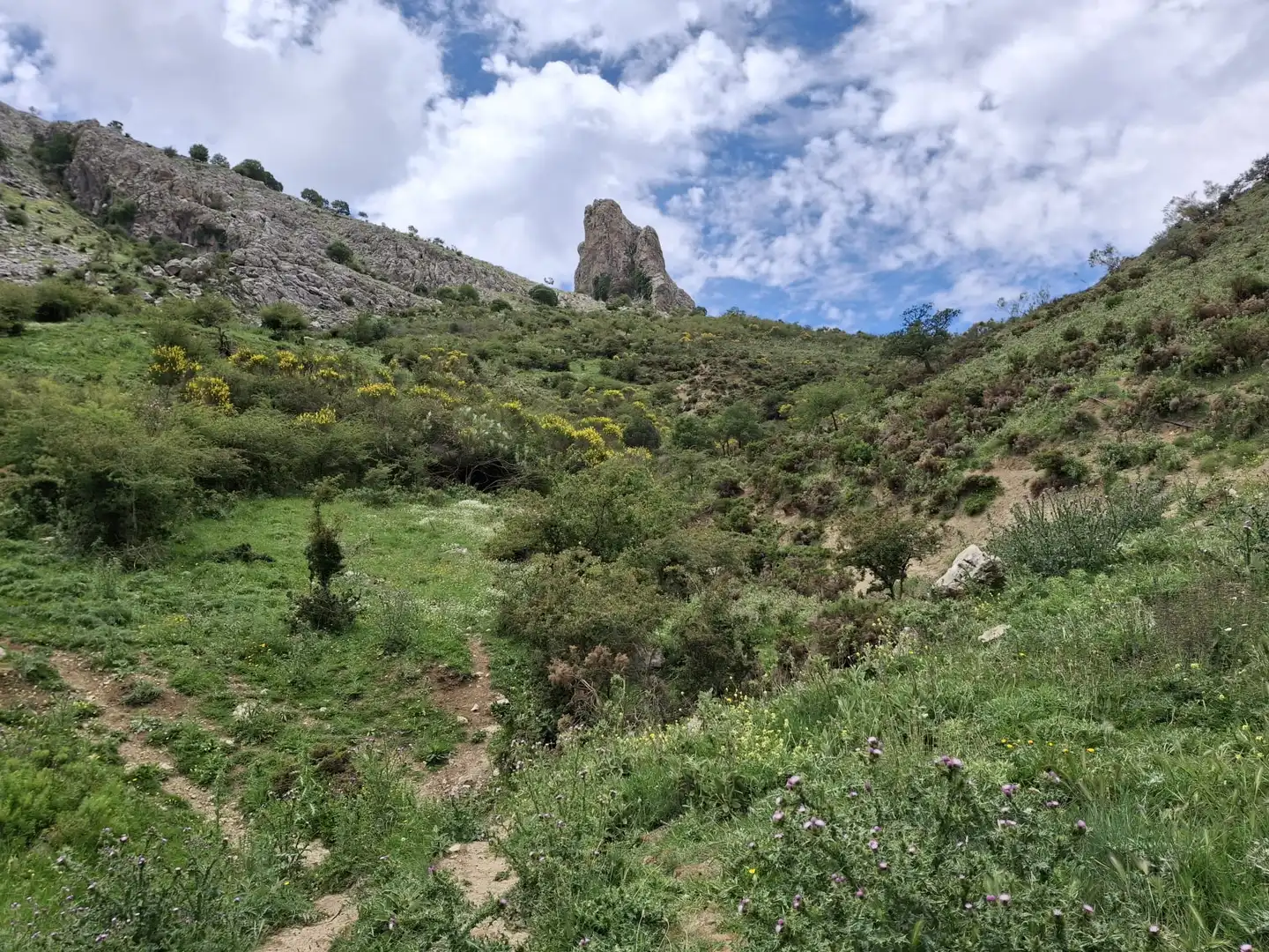 Terreni e lotti in vendita a Alfarnatejo, imagen 15