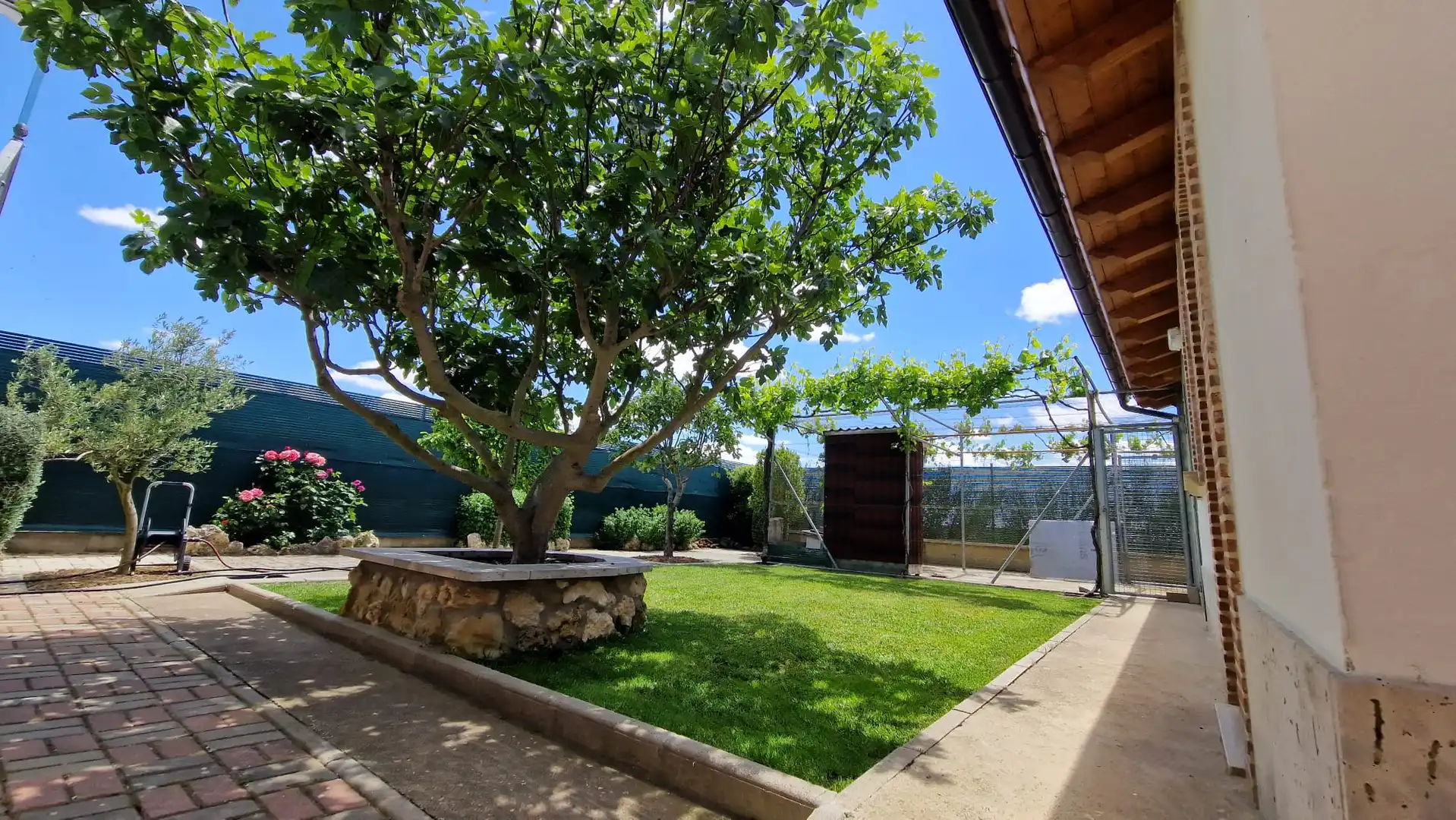 Jardín de Casa o chalet en venta en Carrión de los Condes con Calefacción, Jardín privado y Terraza