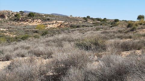 Foto 4 de Residencial en venda a Pp Granados, Gea y Truyols, Murcia