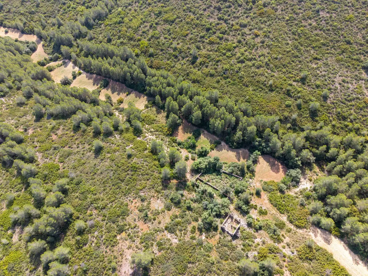 Maison rustique à vendre à Enguera, imagen 11