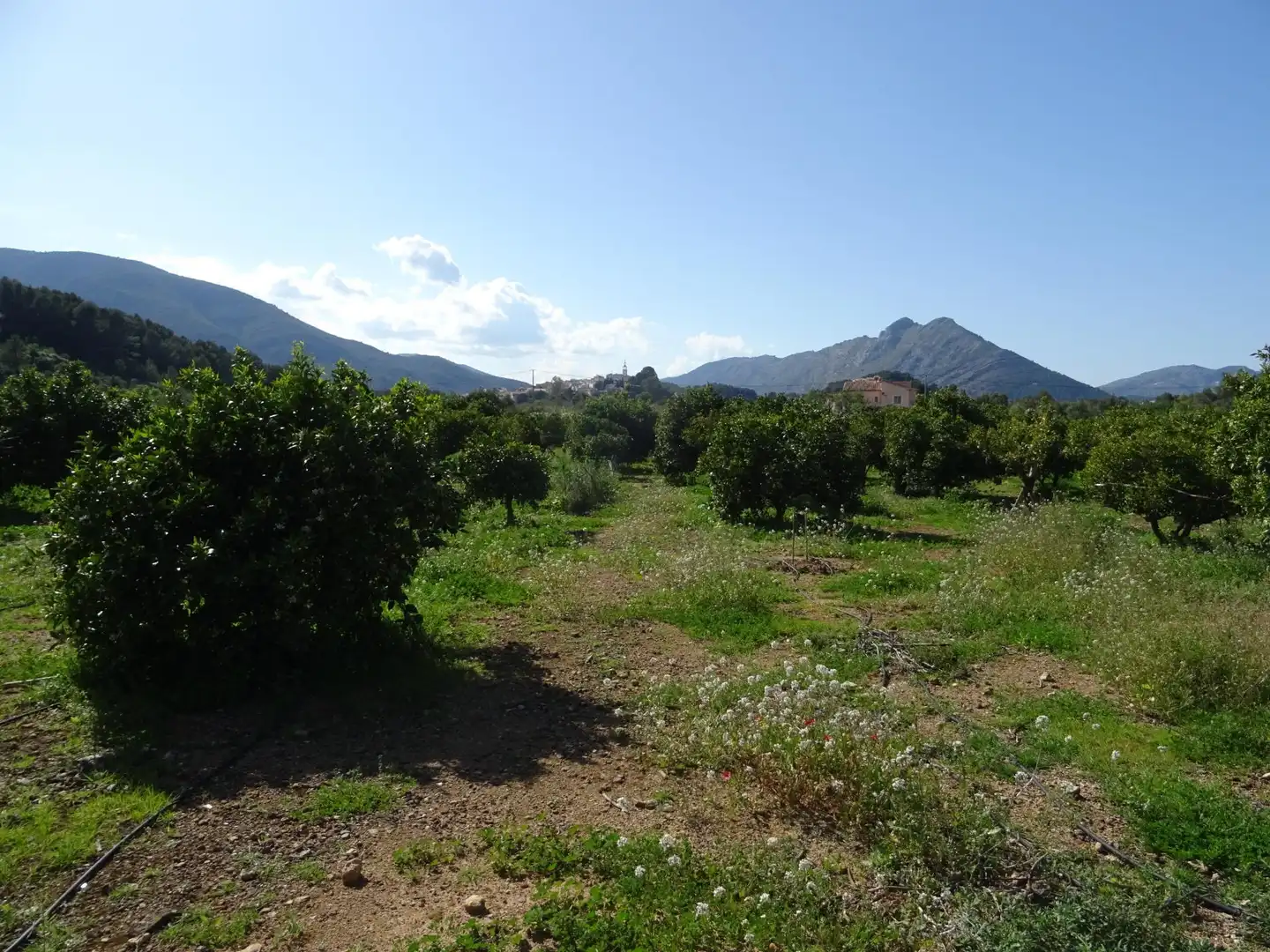 Terreny residencial en venda a Alcalalí, imagen 8