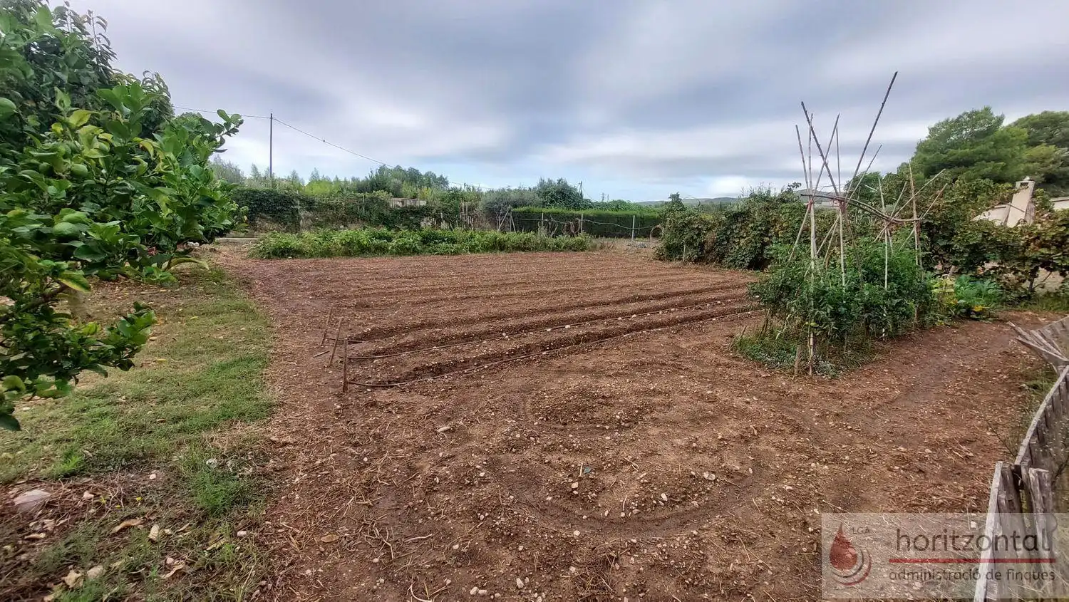 Residential for sale in dels Molins, 3, Santa Oliva