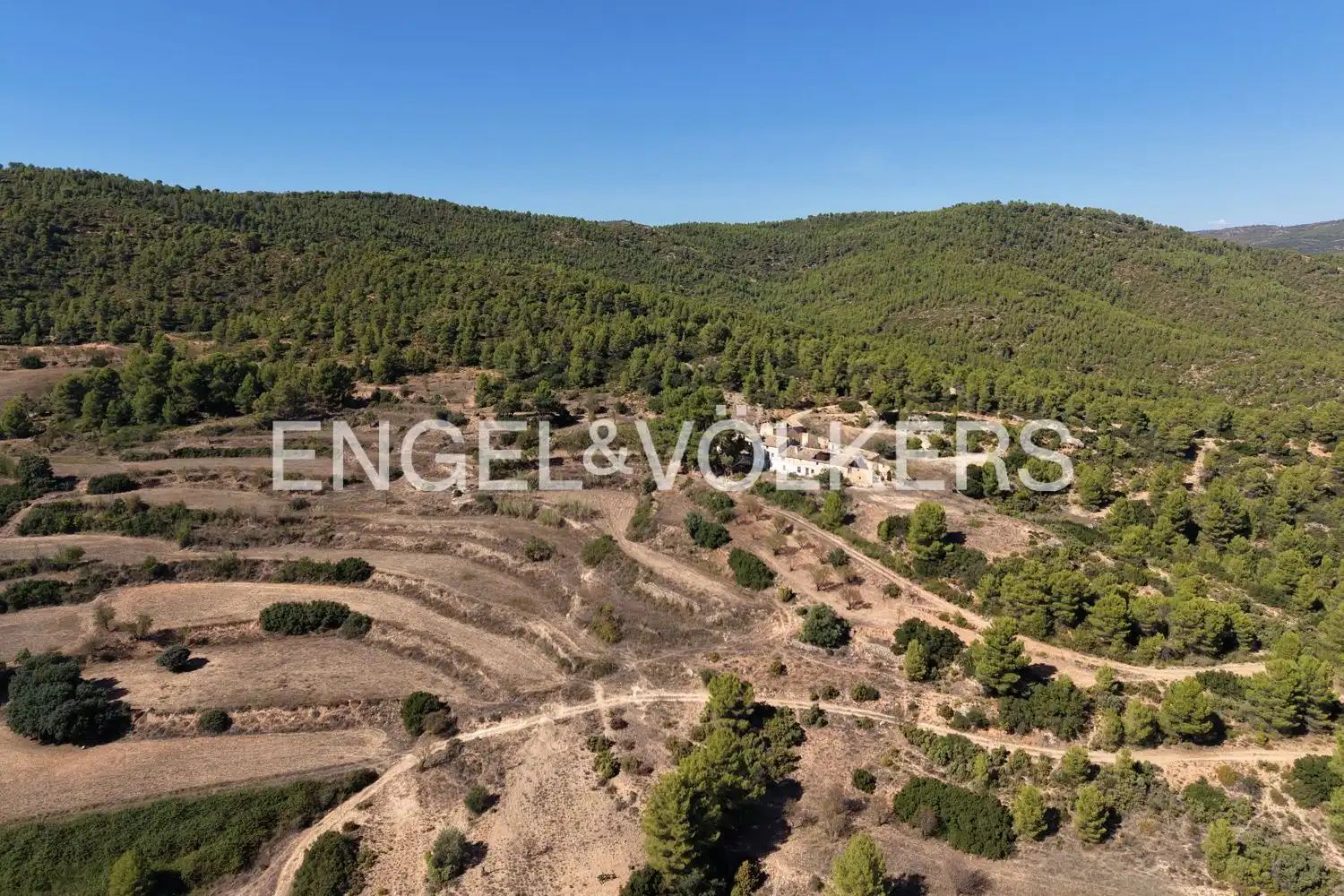 Terrain rustique à vendre à Requena, imagen 40