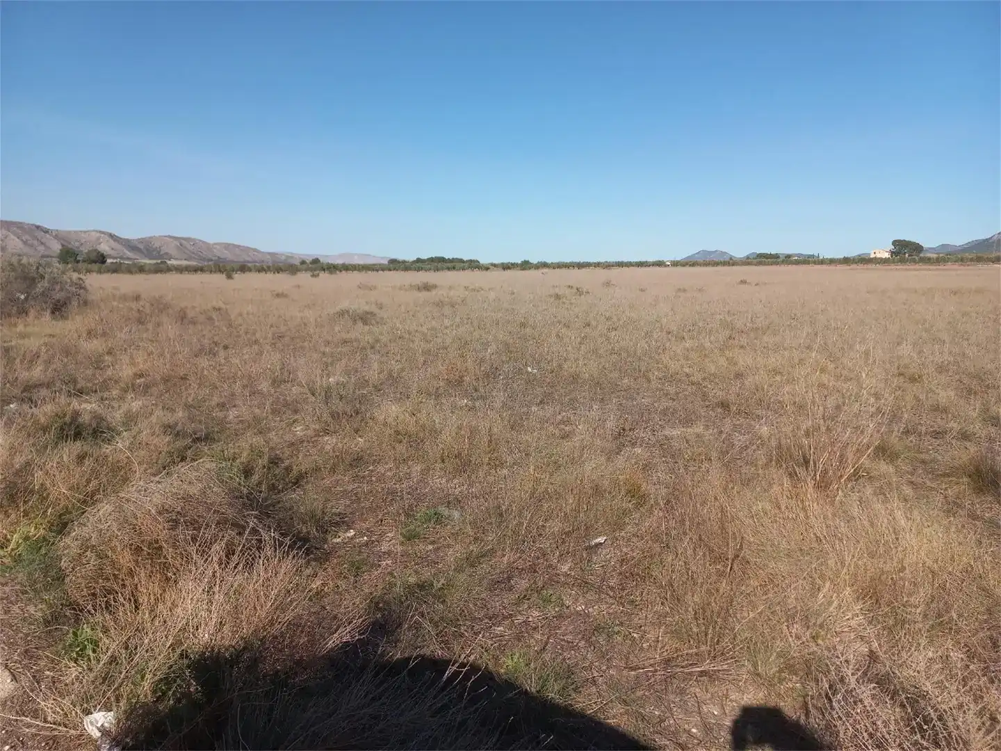 Terreno en venta en Bonete