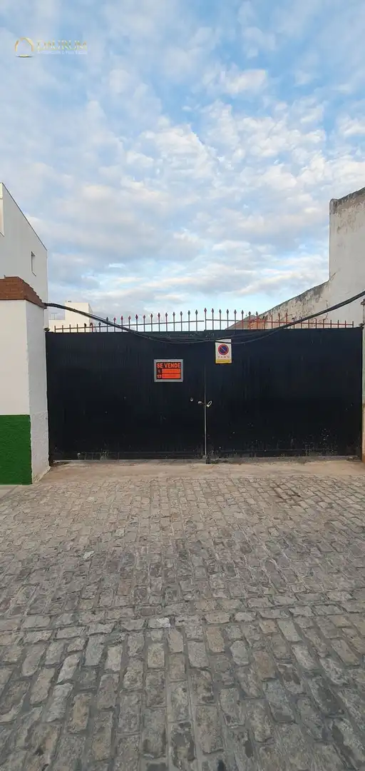 Vista exterior de Casa o chalet en venta en Bormujos con Terraza, Piscina y Piscina comunitaria