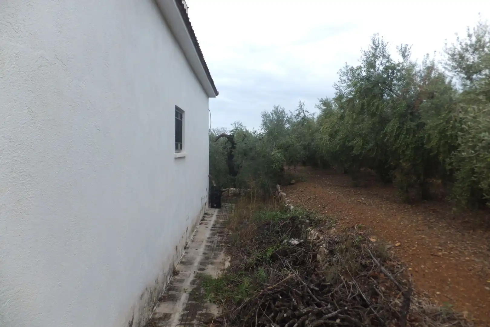 Terreno rústico en venta en Riudoms, imagen 39