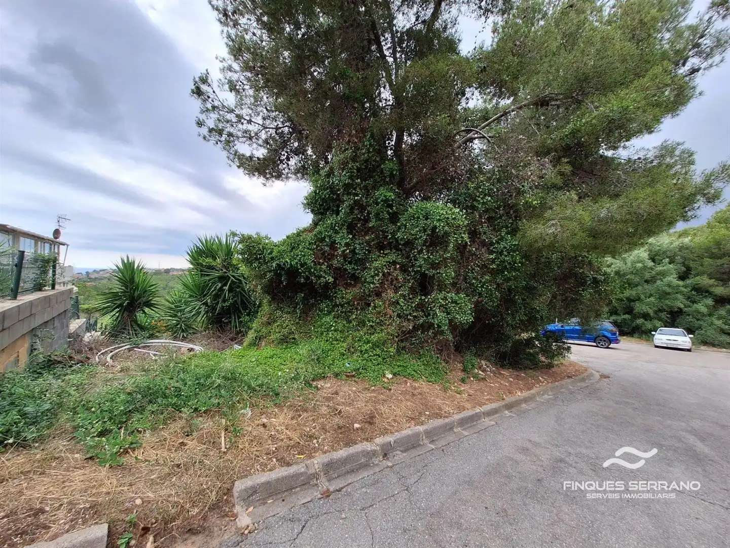 Terreno rustico in vendita a MEDOL