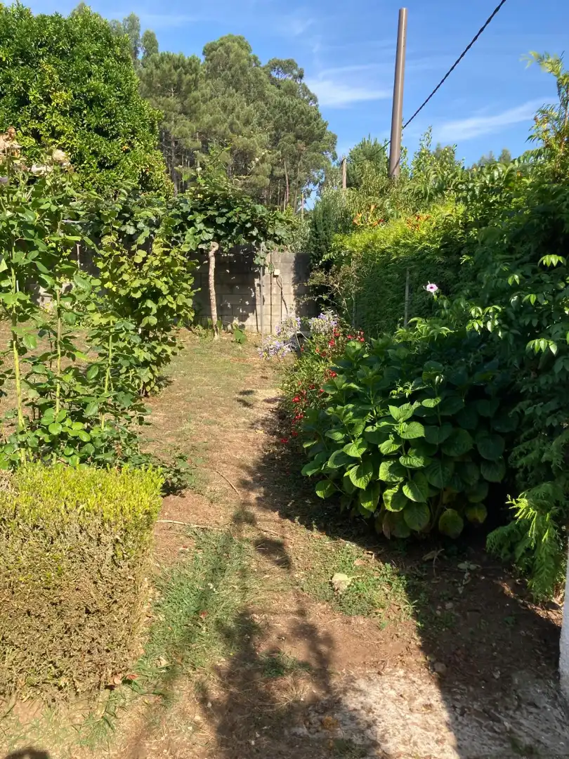 Jardí de Casa o xalet en venda en Dorneda