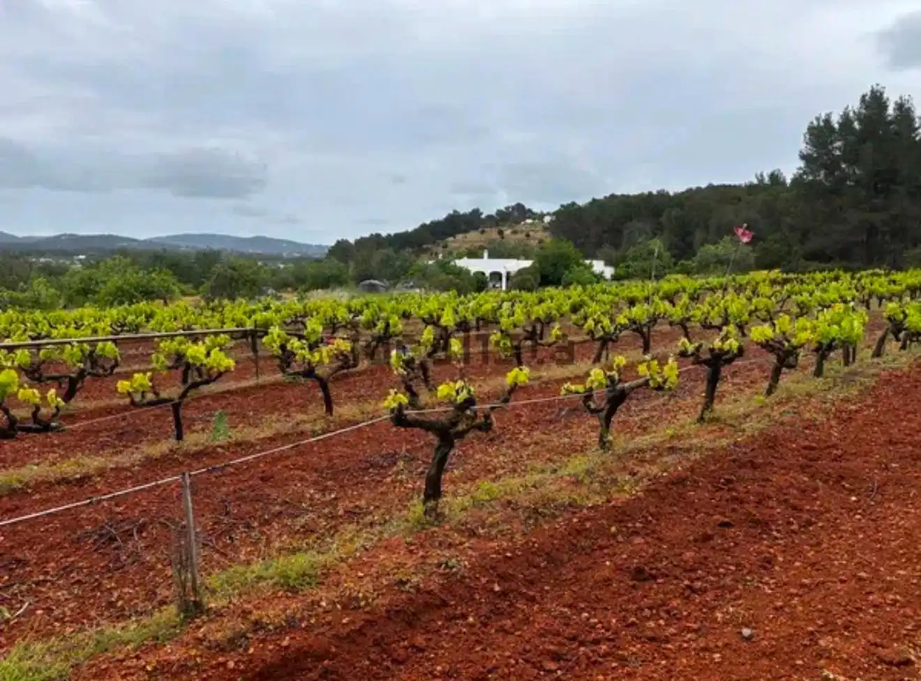 Terreno en venta en Santa Eulària des Riu