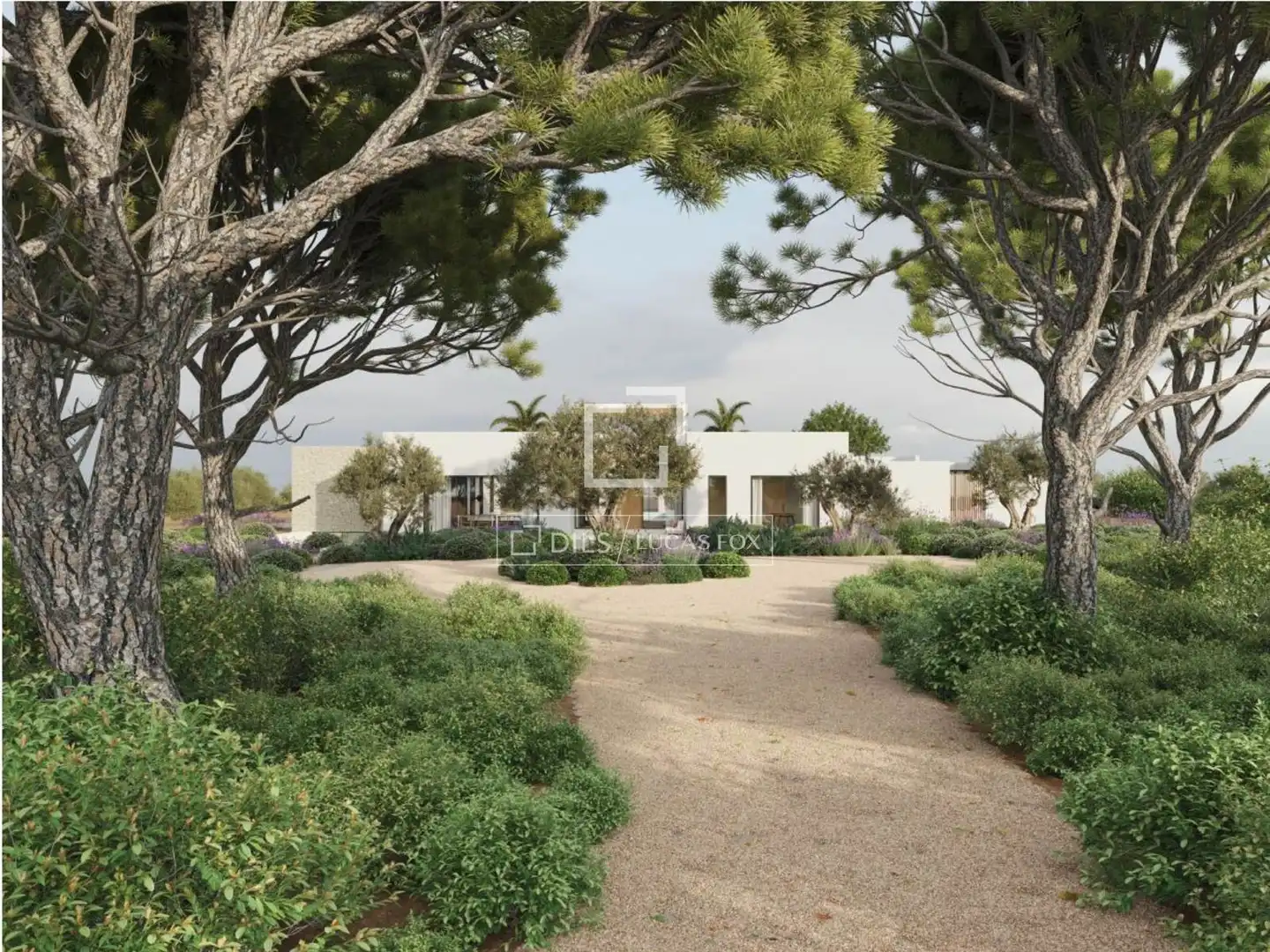 Terreno rustico in vendita a Santa Eulària, imagen 2