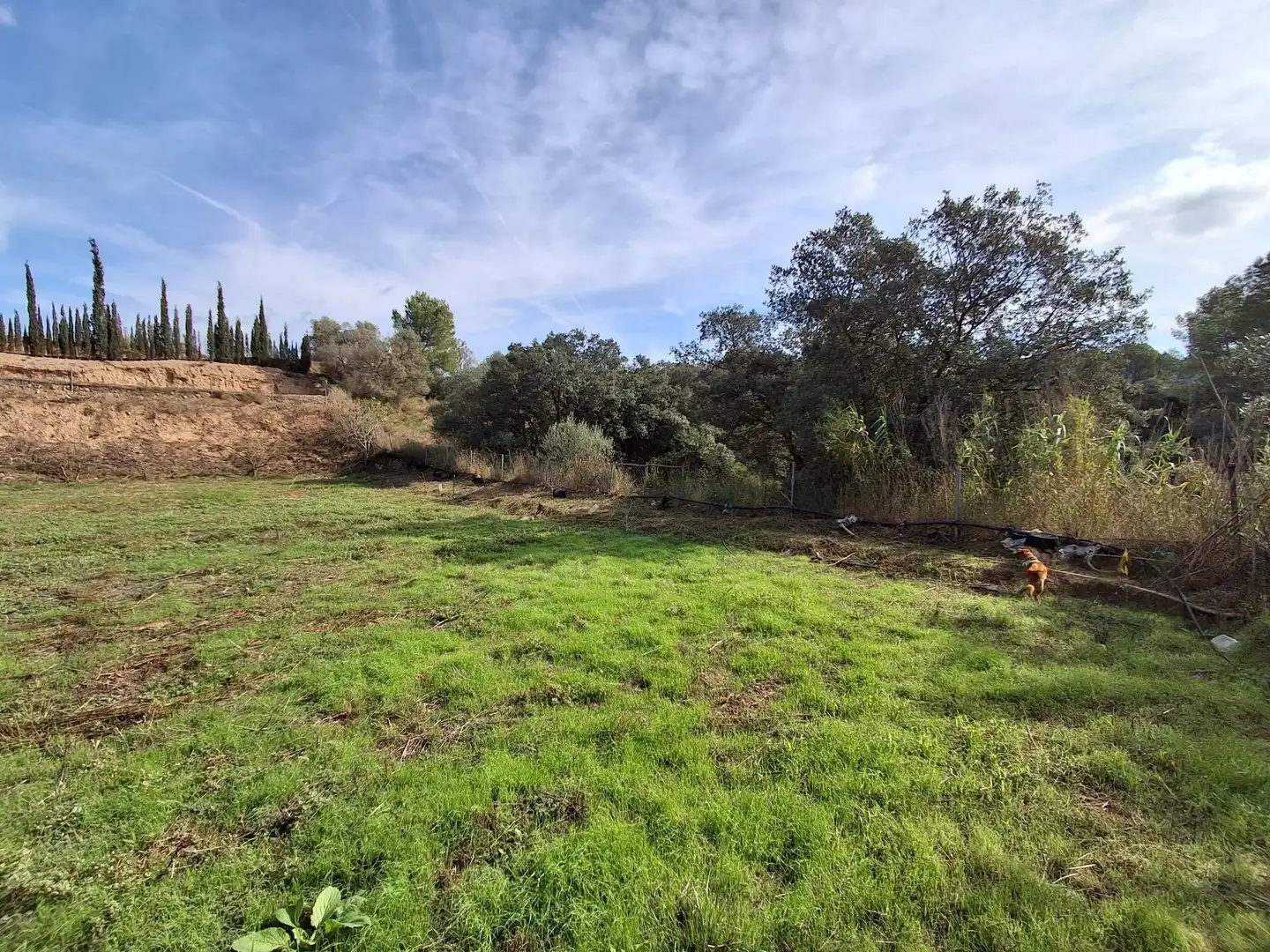 Rural land for sale in Ginestar, imagen 49
