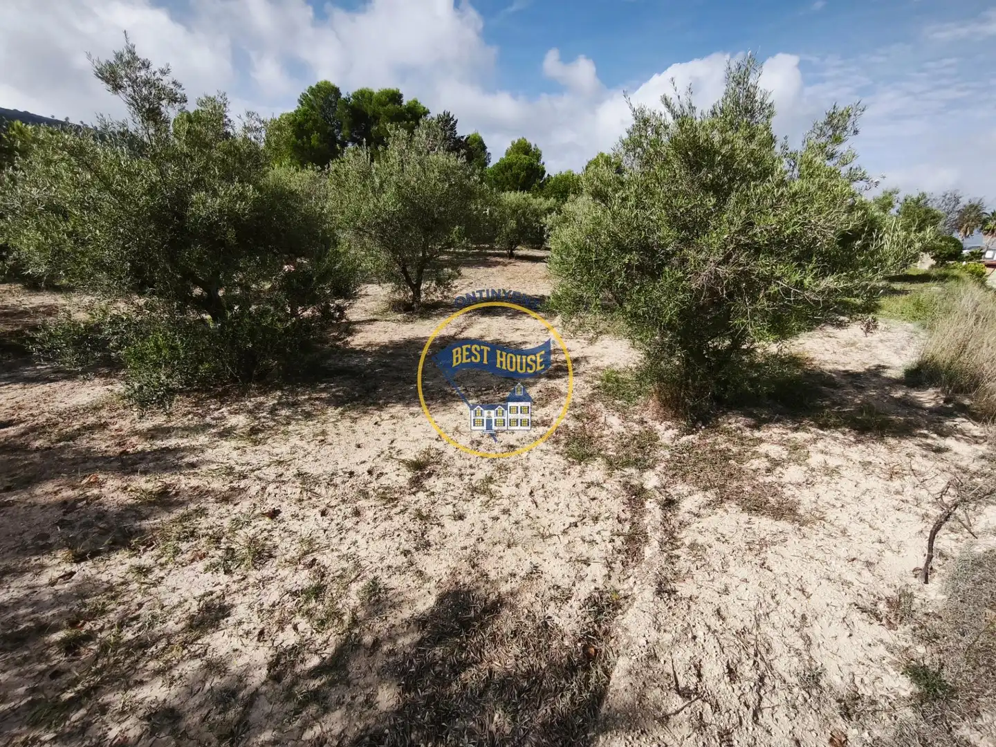 Villa in vendita a Sant Josep - Zona Hospital, imagen 37