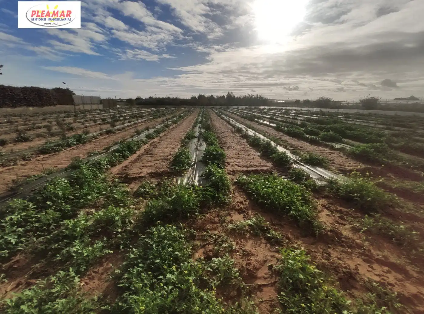 Residencial en venta en Chipiona Norte