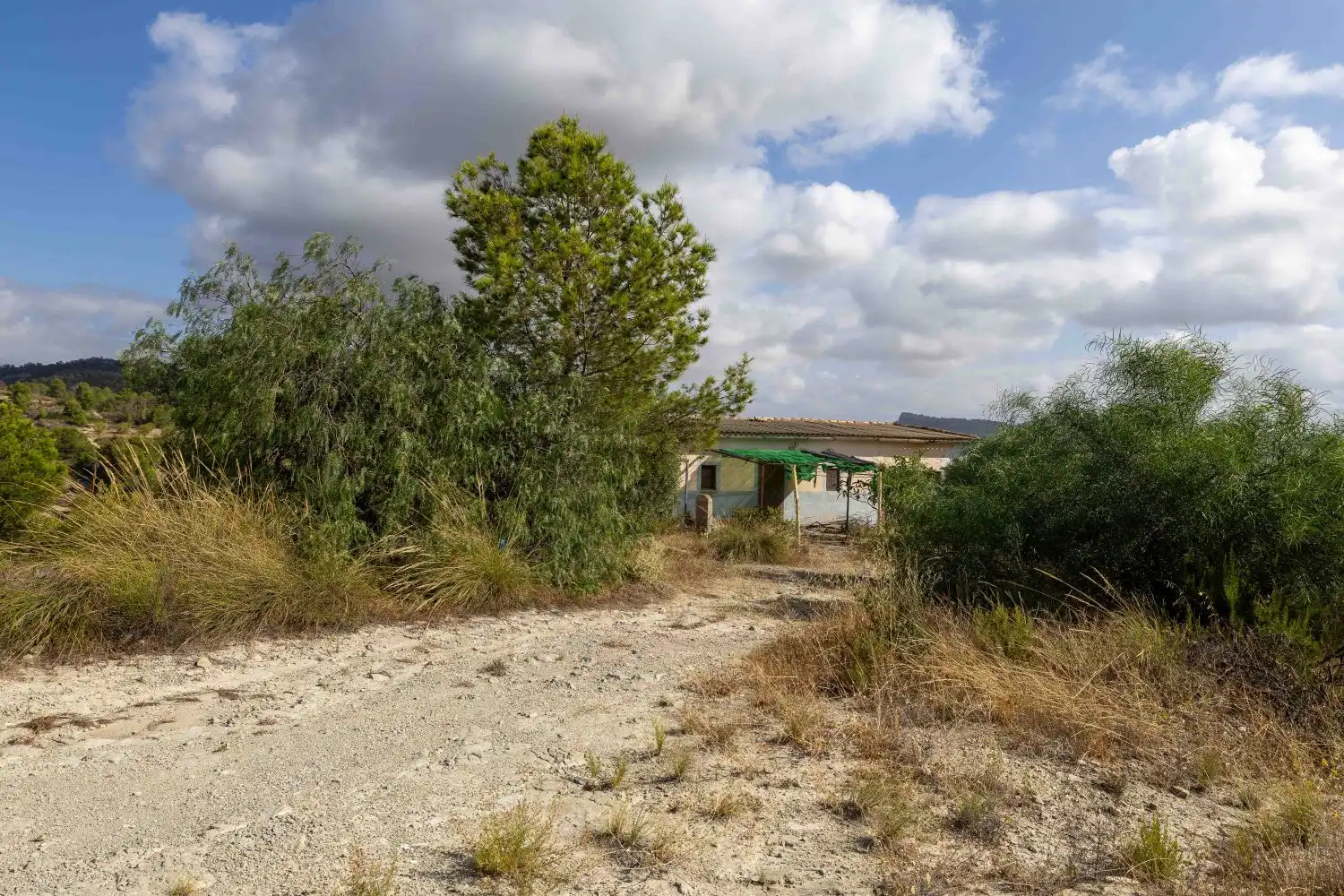 Finca rústica en venta en Mula