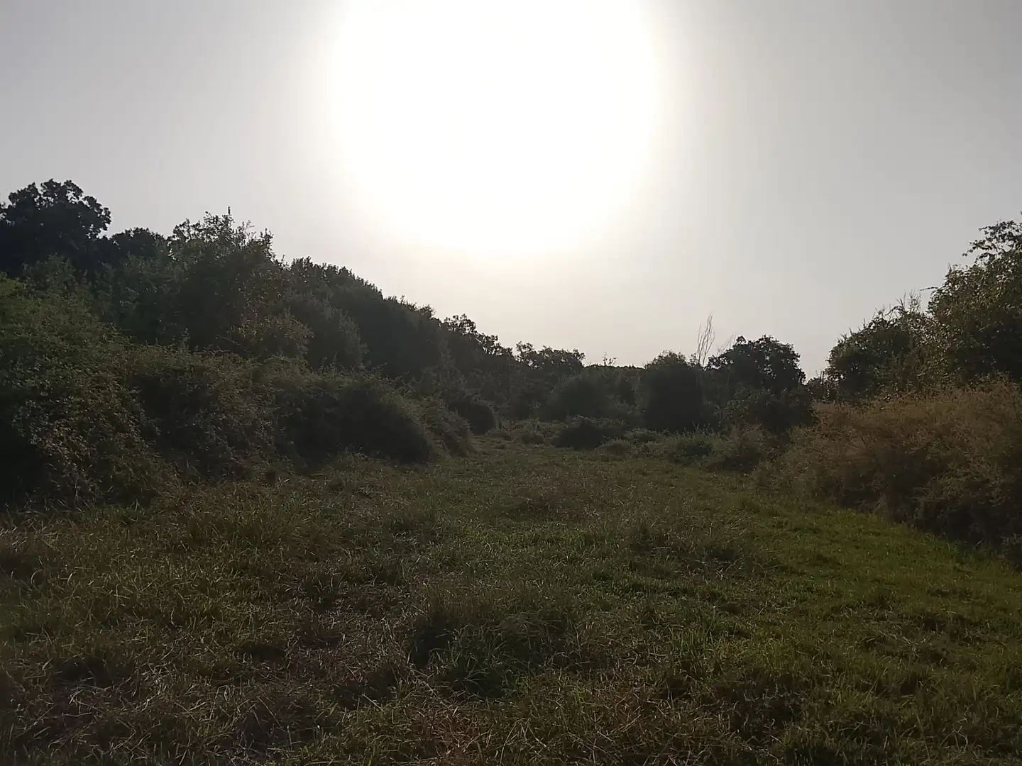 Terreni e lotti in vendita a Villanueva de la Vera, imagen 15