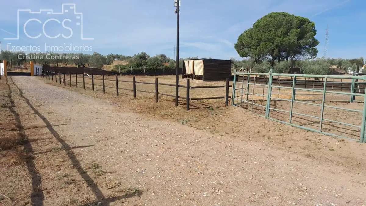 Casa rústica amb jardí en venda a Almonte ciudad, imagen 10