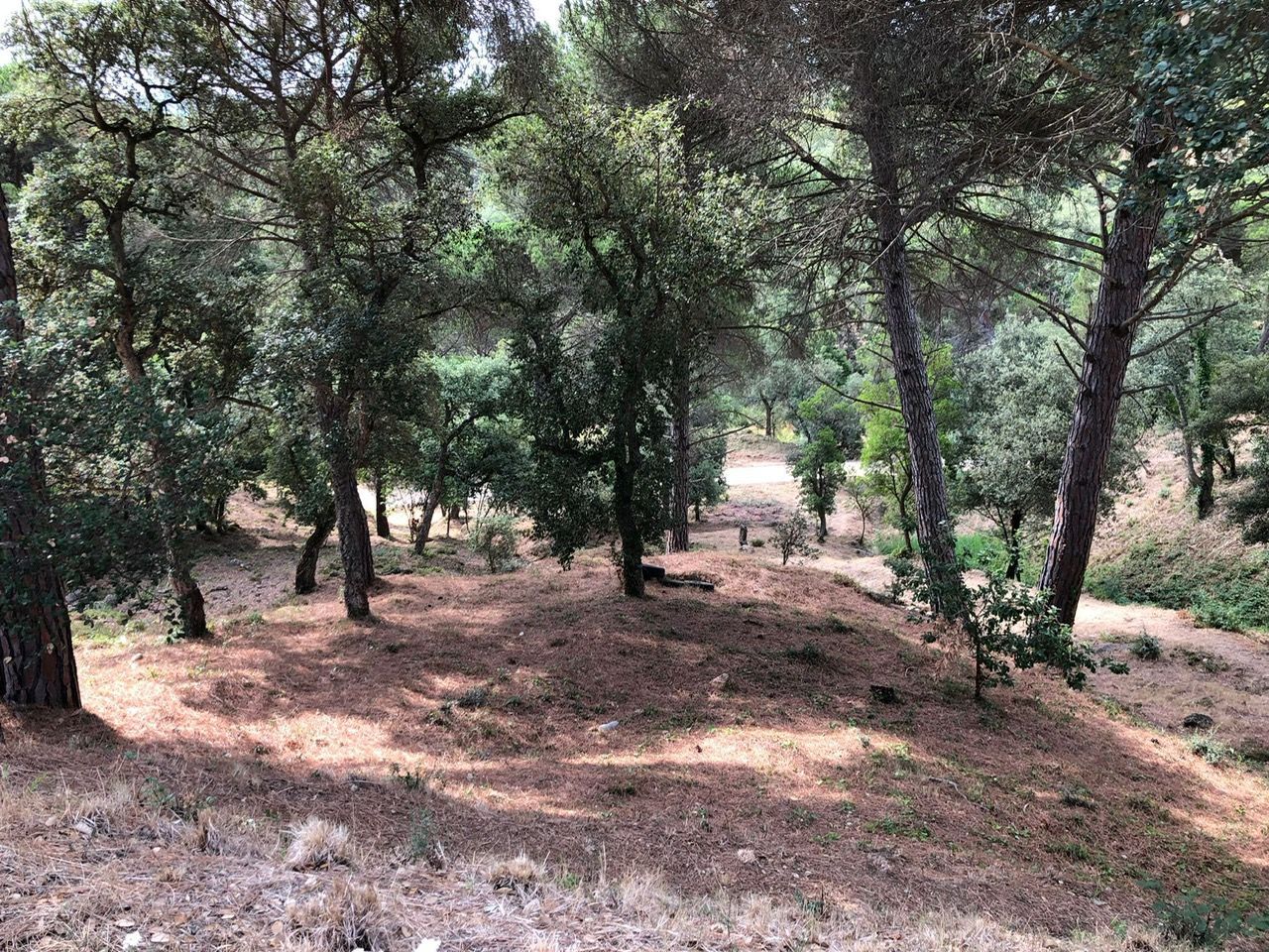 Residential zum verkauf in Carrer Muntanya, Niàgara Parc - Ágora Parc