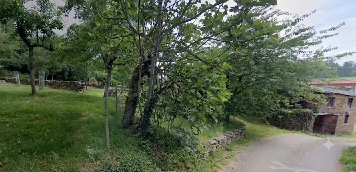Terreno en venta en A Pobra do Brollón 