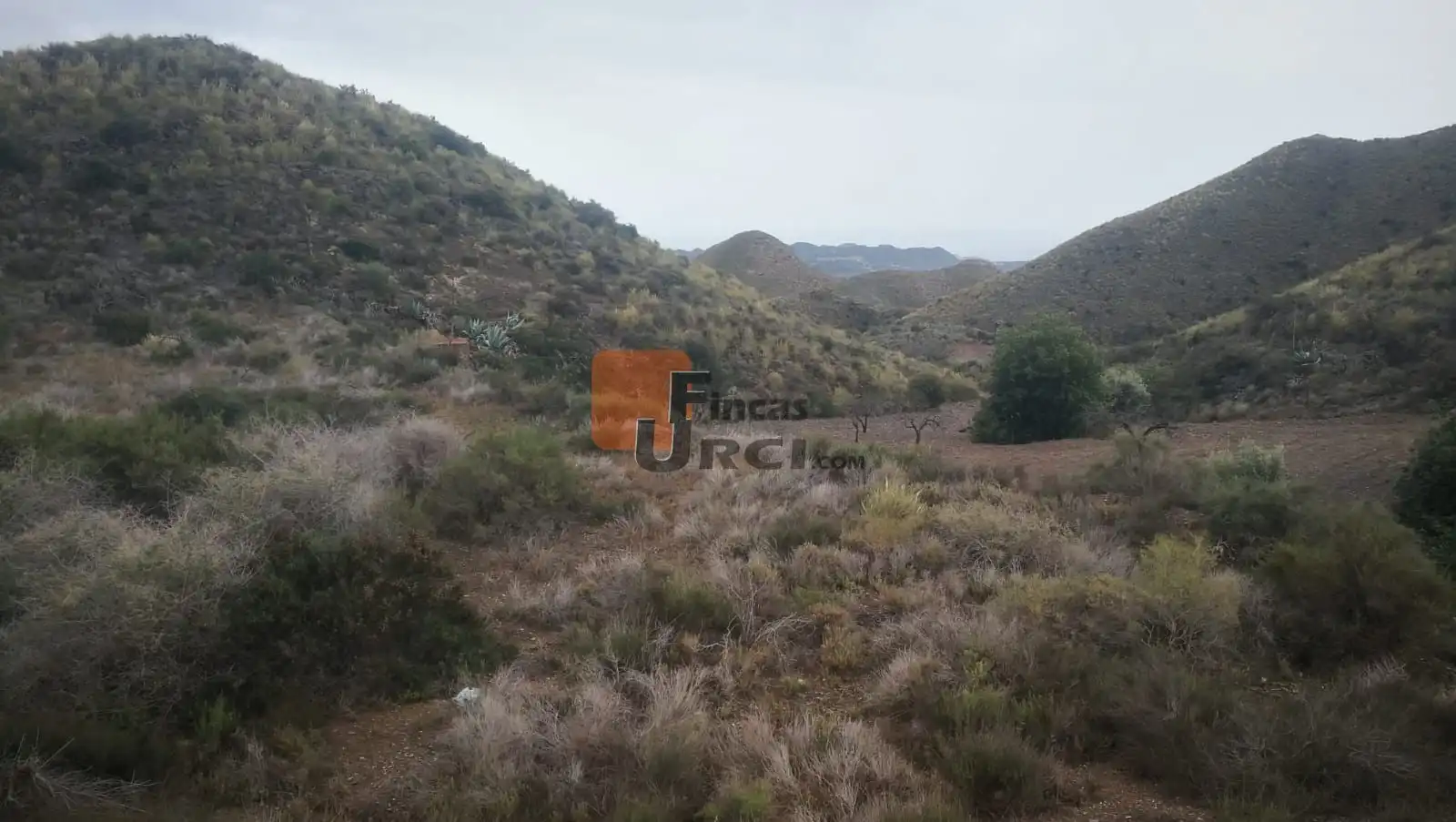 Casa en venda a Tébar - Los Arejos, imagen 16