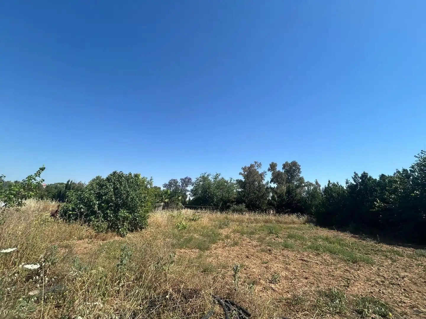 Casa o xalet en venda en Utrera