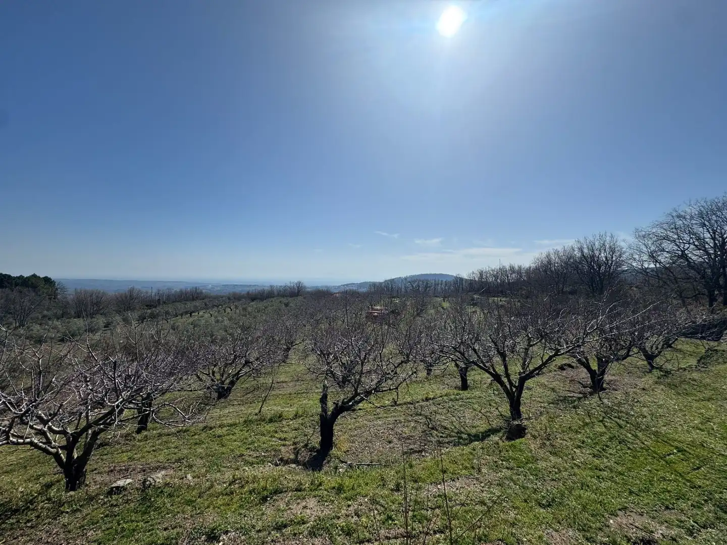 Finca rústica en venda en Garganta la Olla