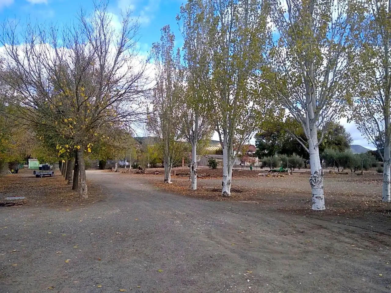 Vista exterior de Finca rústica en venta en Benalúa de las Villas con Jardín privado, Terraza y Trastero