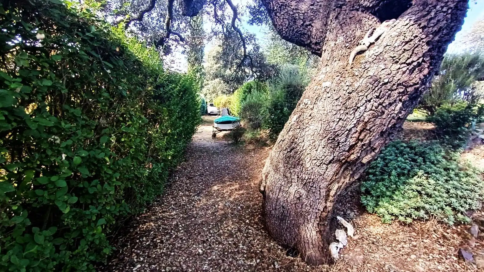 Jardí de Casa o xalet en venda en Palacios del Pan amb Calefacció, Jardí privat i Terrassa