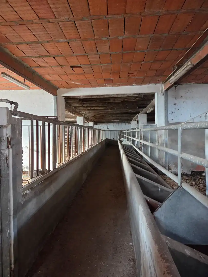 Nau industrial en venda en San Andrés del Rabanedo