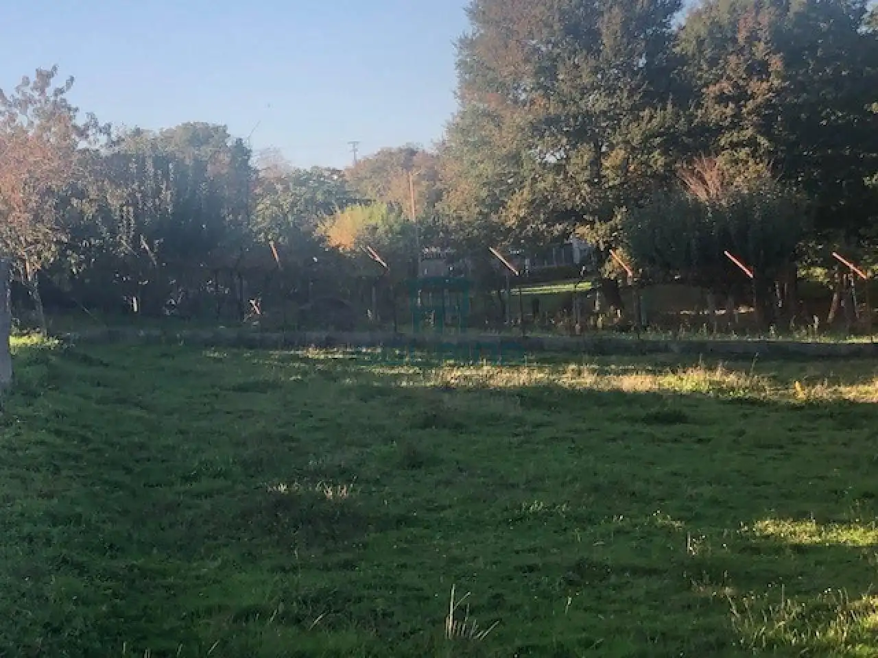 Terreni e lotti in vendita a Nogueira de Ramuín, imagen 6