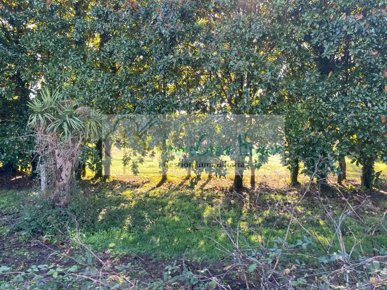 Wohnbaugrundstück zum Verkauf in Tomiño, imagen 16